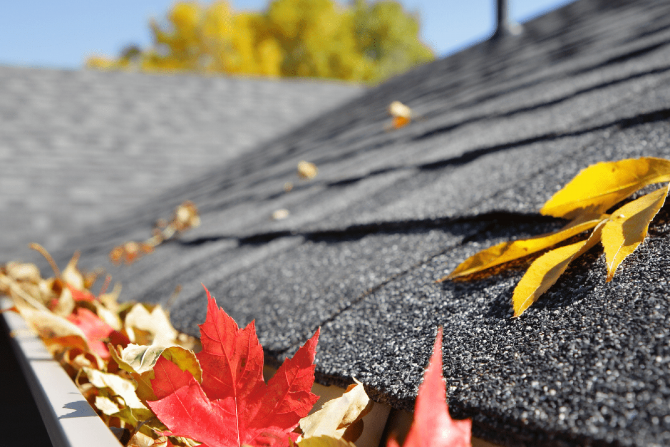 Gutter Repair Gutter Repair